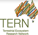 logo TERN